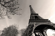 Tour Eiffel - Eiffel Tower Tour Eiffel - Eiffel Tower