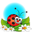 Ladybug and flowers - Kids illustration Ladybug and flowers - Kids illustration