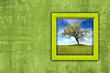 Photo: window with spring landscape view window with spring landscape view