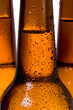 Bottles of Beer over White.