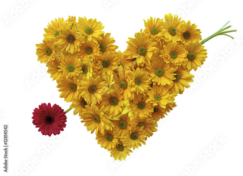 Daisy Heart with arrow