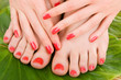care for sensuality woman legs