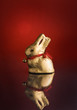 Hase