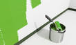 peinture rouleau