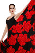 Flamenco dancer