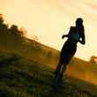 Foto: Beautiful Woman Runner Beautiful Woman Runner