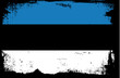 grunge flag - estonia