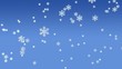 Flocons de neige
