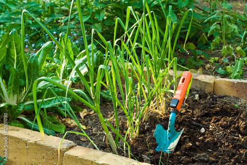 Photo: gärtnern, gardening gärtnern, gardening