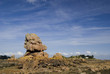 France, Côtes d'Armor, Ile de Bréhat, paysage à marée basse