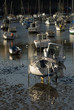 France, Finistère, Doelan, Port de Doëlan, bateaux à marée basse