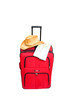 travel with suitcase
