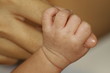 cute little hand