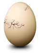 Pasqua Uovo Rotto-Paques Oeuf cassé-Easter Broken Egg