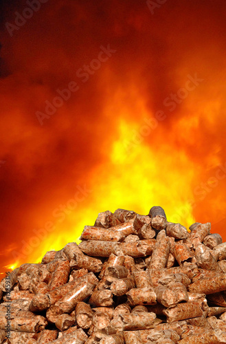 Foto: Holzpellets als regenerative Energie und Bioenergie aus Bäumen Holzpellets als regenerative Energie und Bioenergie aus Bäumen