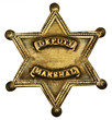 Authentic Deputy Marshall Badge Authentic Deputy Marshall Badge
