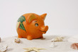 Sparschwein #30