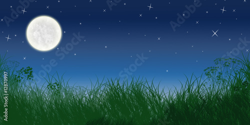 nuit de pleine lune en campagne nuit de pleine lune en campagne