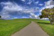 Green Grass Landscape and blue cloudy sky HDR