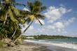 beau paysage en Martinique1 beau paysage en Martinique1