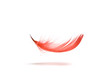 Photo: Red feather Red feather