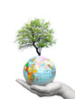 globe in hands