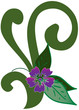 Tahiti flower