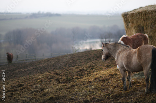 Foto: Am Hange Am Hange