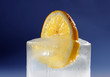 lemon in ice