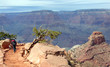 Hiking South Kaibab above O'Neill Butte