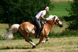 Jagdgallopp