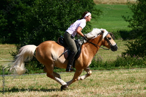 Jagdgallopp