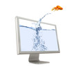 Goldfish Jumping Out Of Screen Goldfish Jumping Out Of Screen
