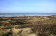 Dunes and sea. Windy day in Netherlands.