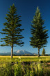Framed Mount Sopris