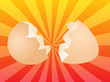 Egg illustration