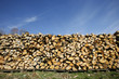 logs