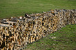 firewood logs