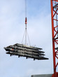 Grue Grue