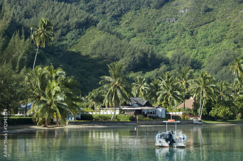 Photo: Coast of Tropical Island Coast of Tropical Island