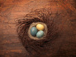 Painted eggs in a nest