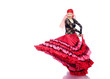 Flamenco
