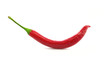 Red chilly pepper