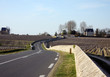 route dans les vignes de Saint Julien à Pauillac (33) Gironde