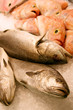 poissons poissonnerie
