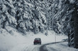 Neige