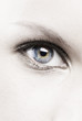 weibliches auge makro