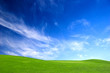 Green Meadow Green Meadow