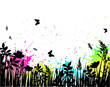 vector field