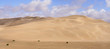désert de sable